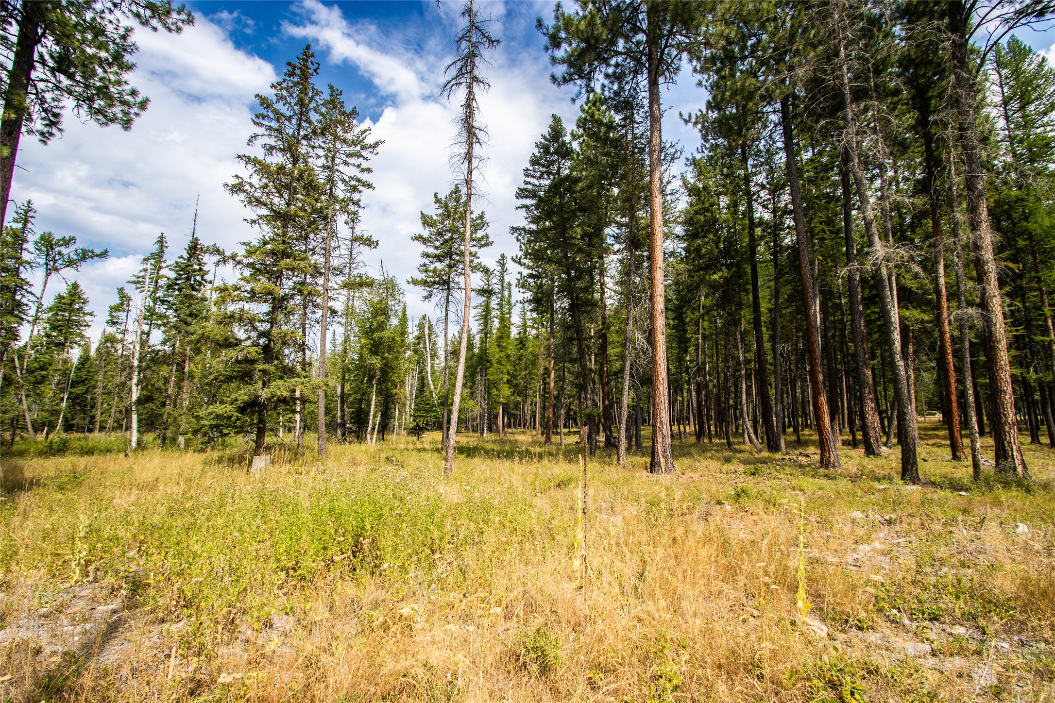 650 Boulder Ridge Trail Property Photo 18