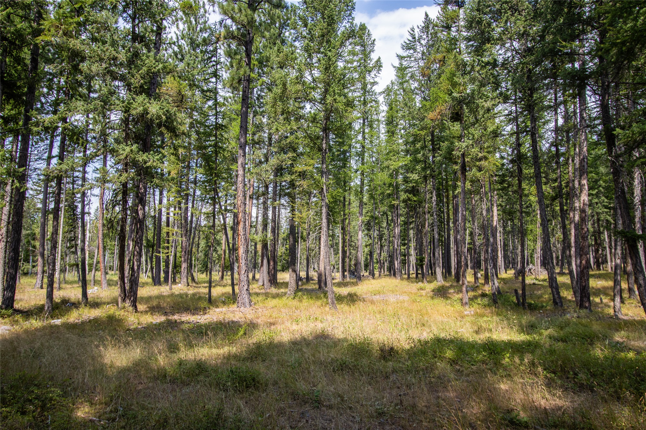 650 Boulder Ridge Trail Property Photo 21