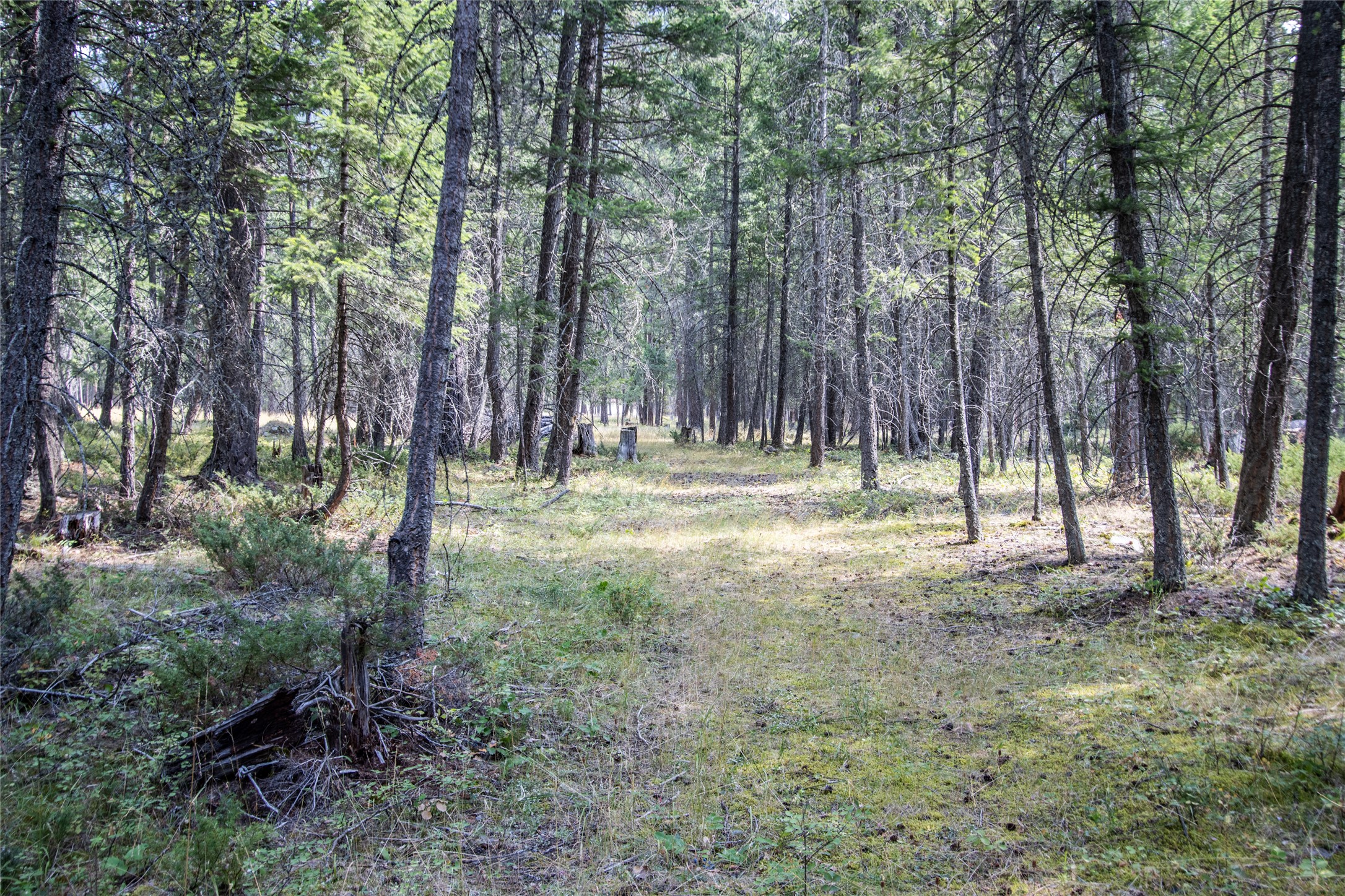 650 Boulder Ridge Trail Property Photo 23
