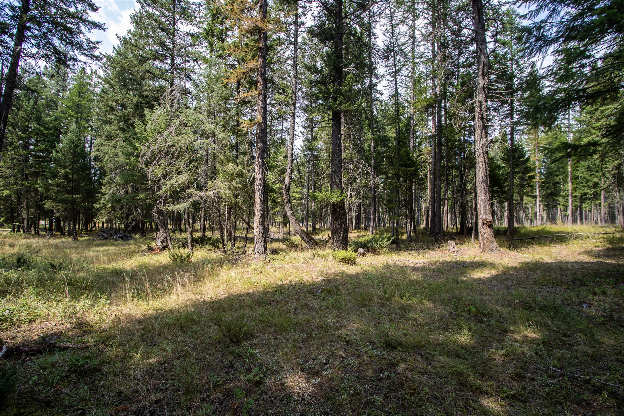 650 Boulder Ridge Trail Property Photo 24