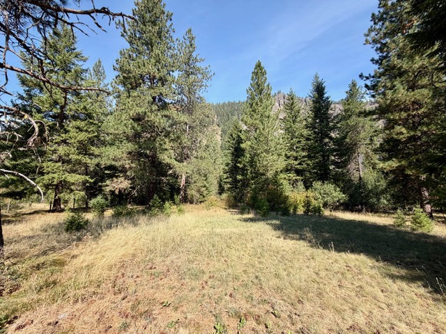 37 Bighorn Road Property Photo 44