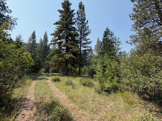 37 Bighorn Road Property Photo 46