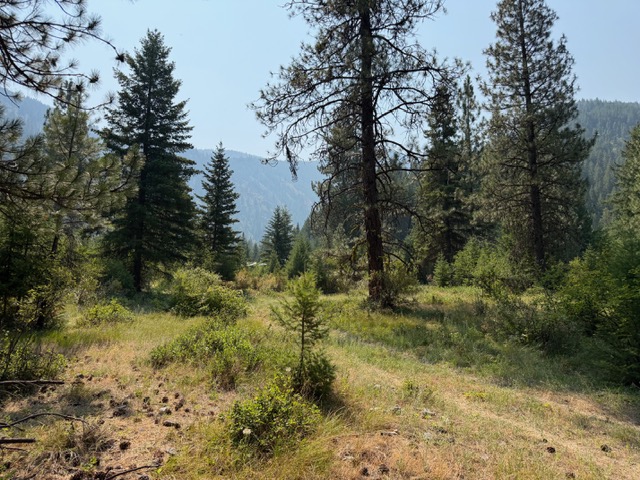 37 Bighorn Road Property Photo 47