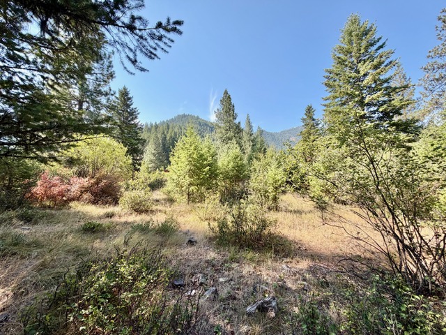 37 Bighorn Road Property Photo 48