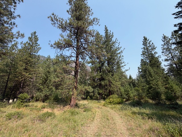 37 Bighorn Road Property Photo 49