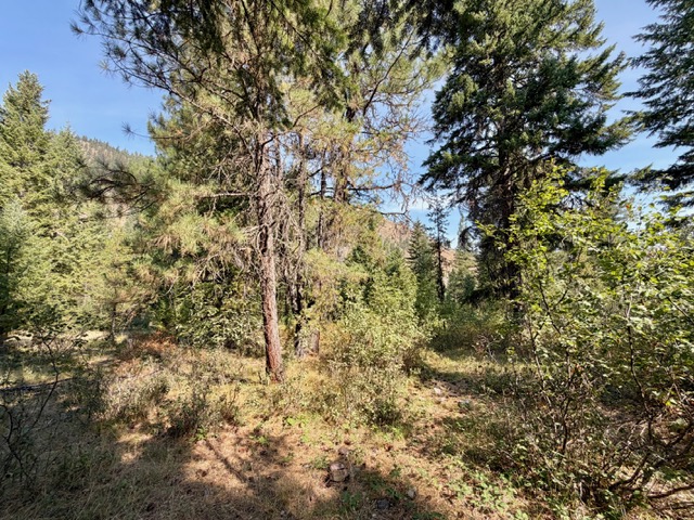 37 Bighorn Road Property Photo 50