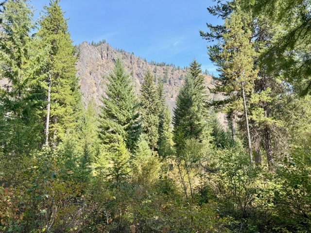 37 Bighorn Road Property Photo 51