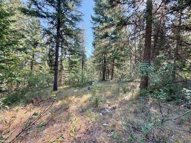 37 Bighorn Road Property Photo 52