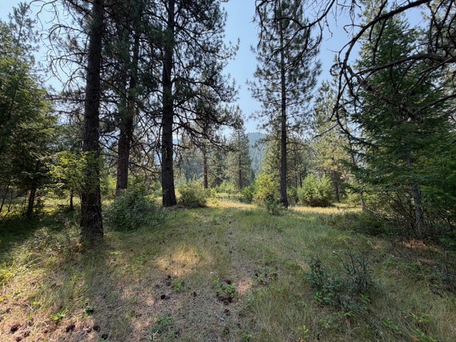 37 Bighorn Road Property Photo 53
