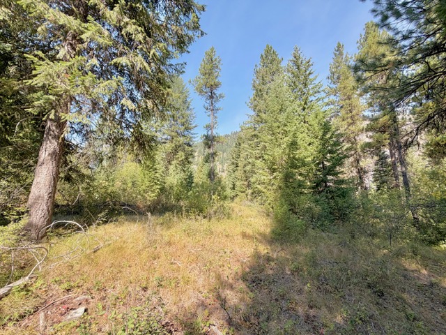 37 Bighorn Road Property Photo 54