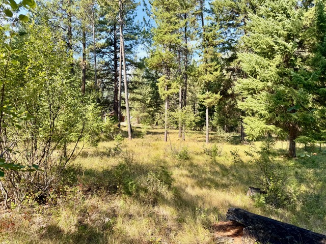 37 Bighorn Road Property Photo 55