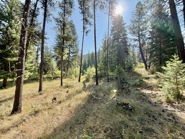 37 Bighorn Road Property Photo 56