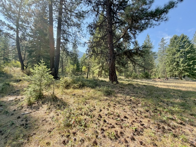37 Bighorn Road Property Photo 57