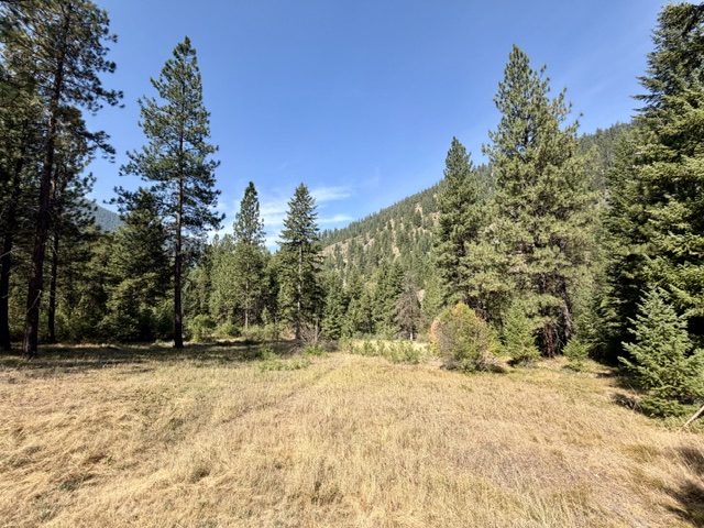 37 Bighorn Road Property Photo 58