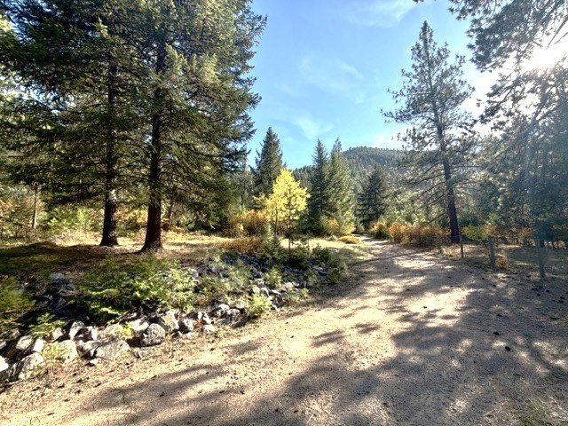 37 Bighorn Road Property Photo 62