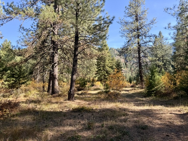 37 Bighorn Road Property Photo 64