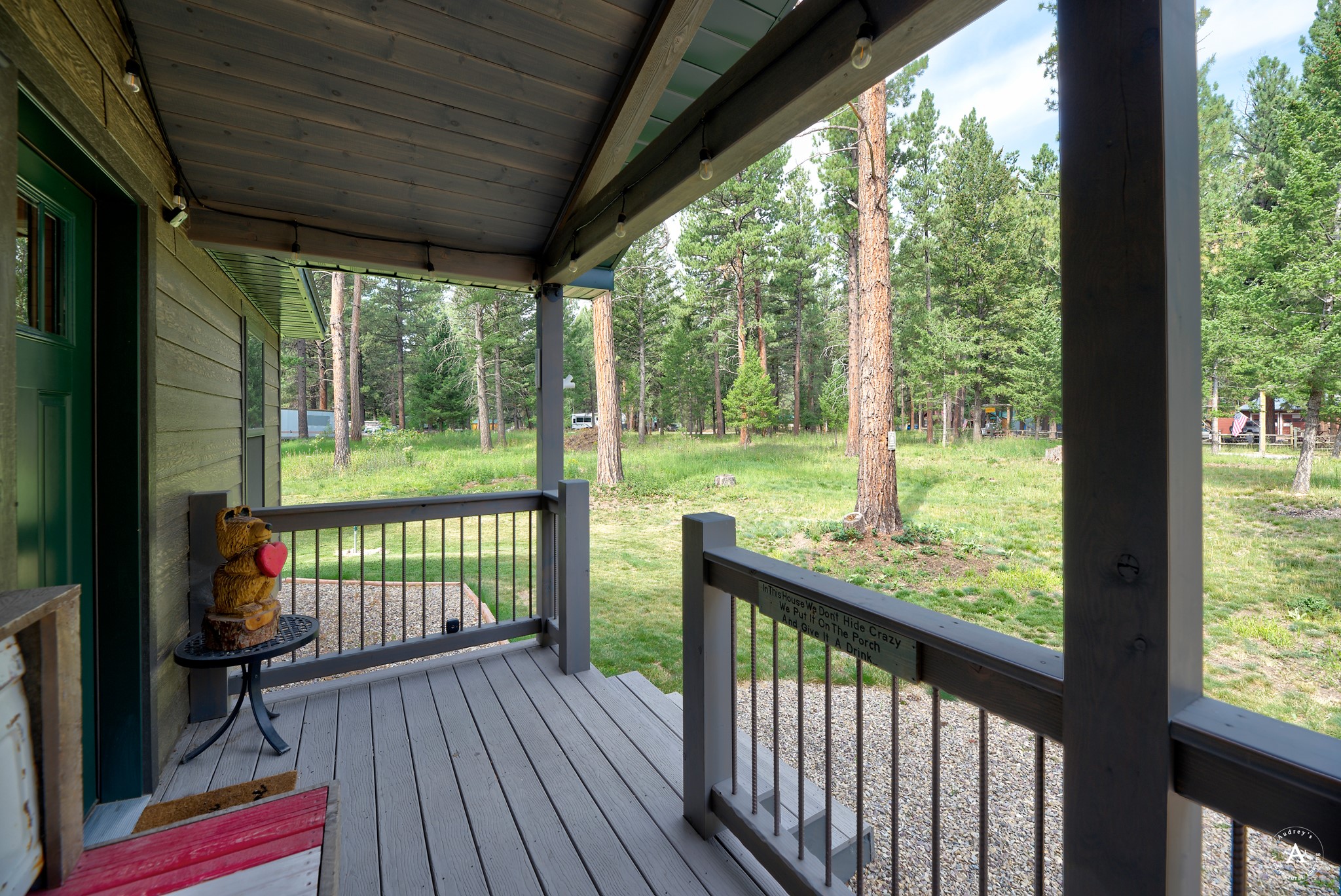 4147 Snow Fleury Lane Property Photo 6