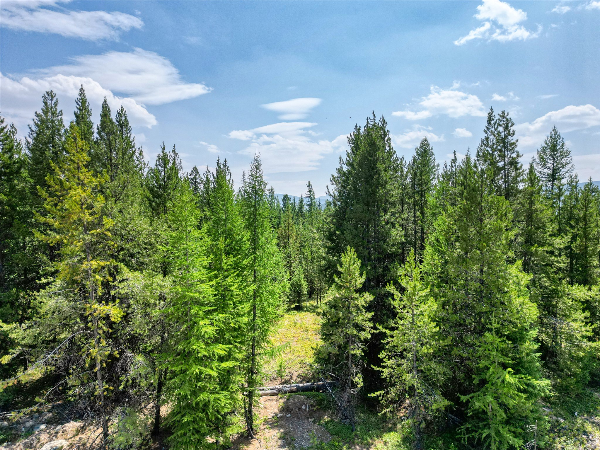 1018 View Ridge Property Photo 7