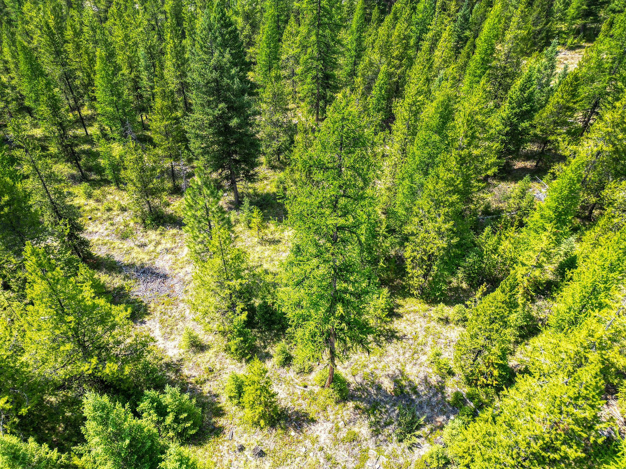 1018 View Ridge Property Photo 10