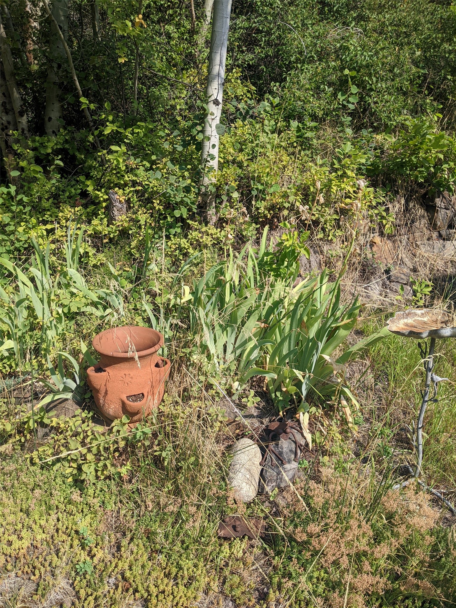 30077227 Property Photo 42