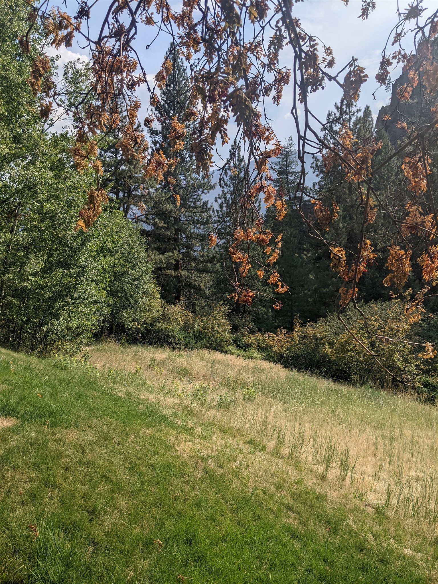 30077227 Property Photo 45