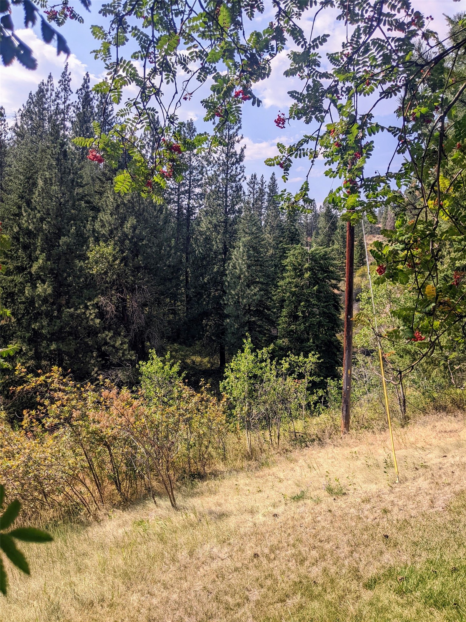 30077227 Property Photo 46