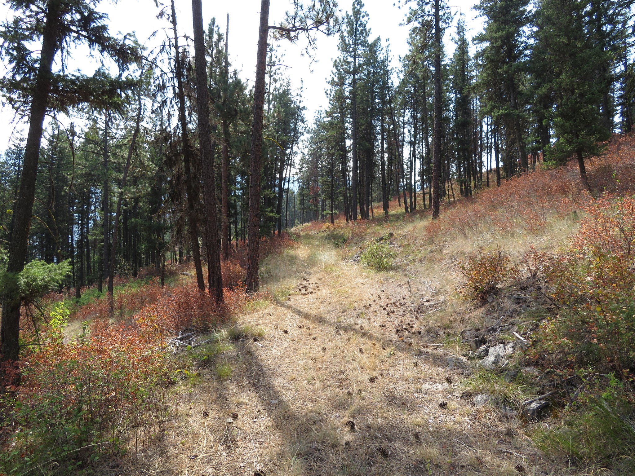 Nhn Rosco Road Property Photo 1