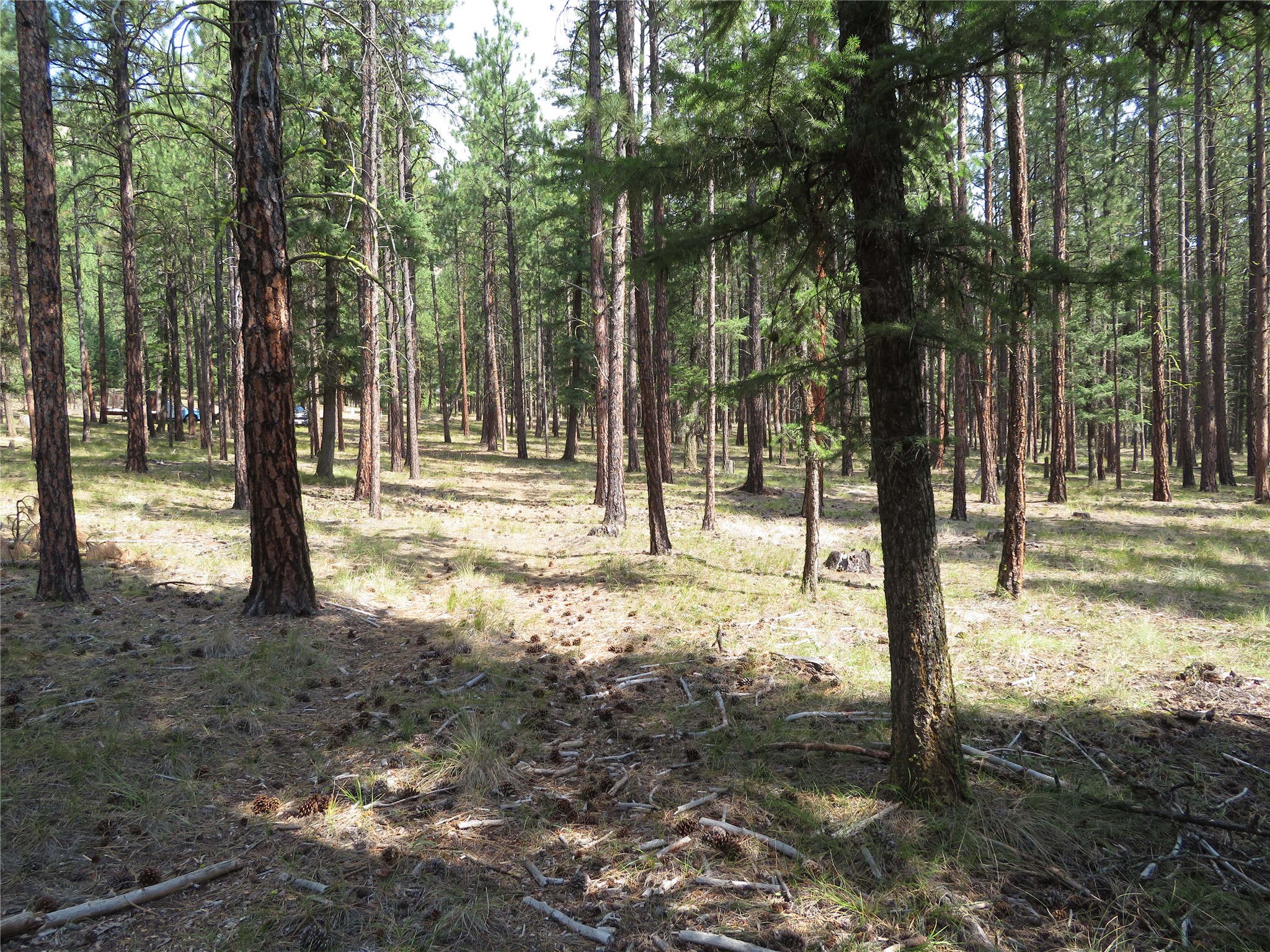 Nhn Rosco Road Property Photo 1