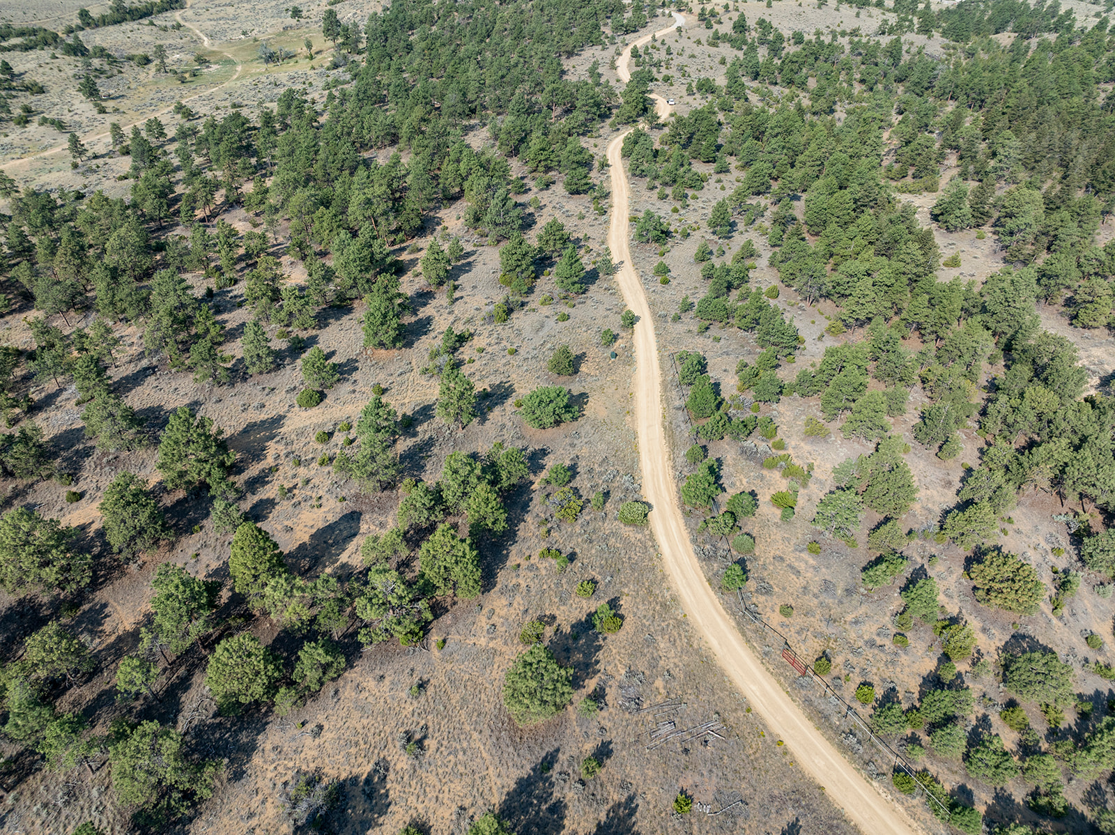 Nhn Shedhorn Drive Property Photo 17