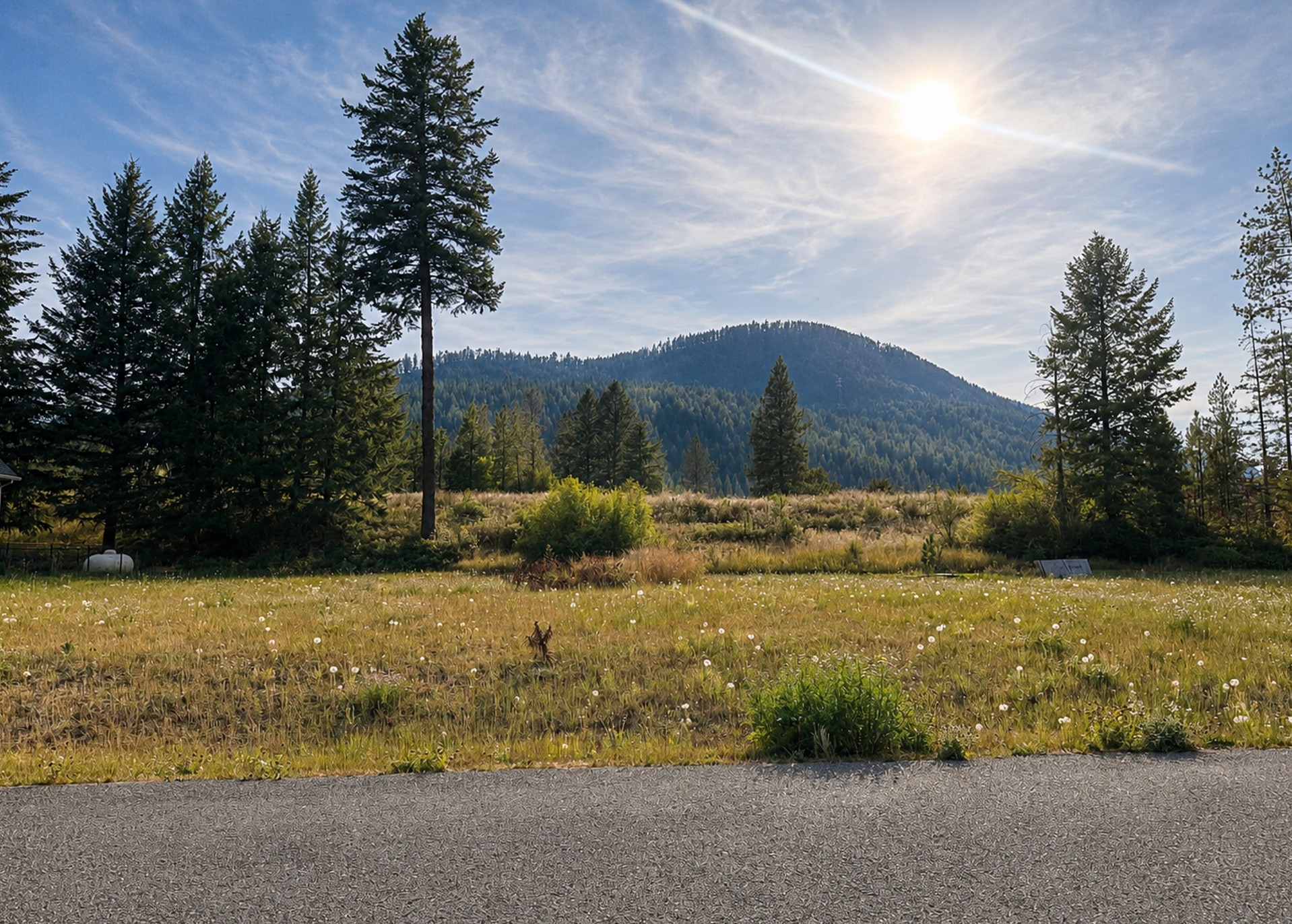 67 Osprey Loop Property Photo 5