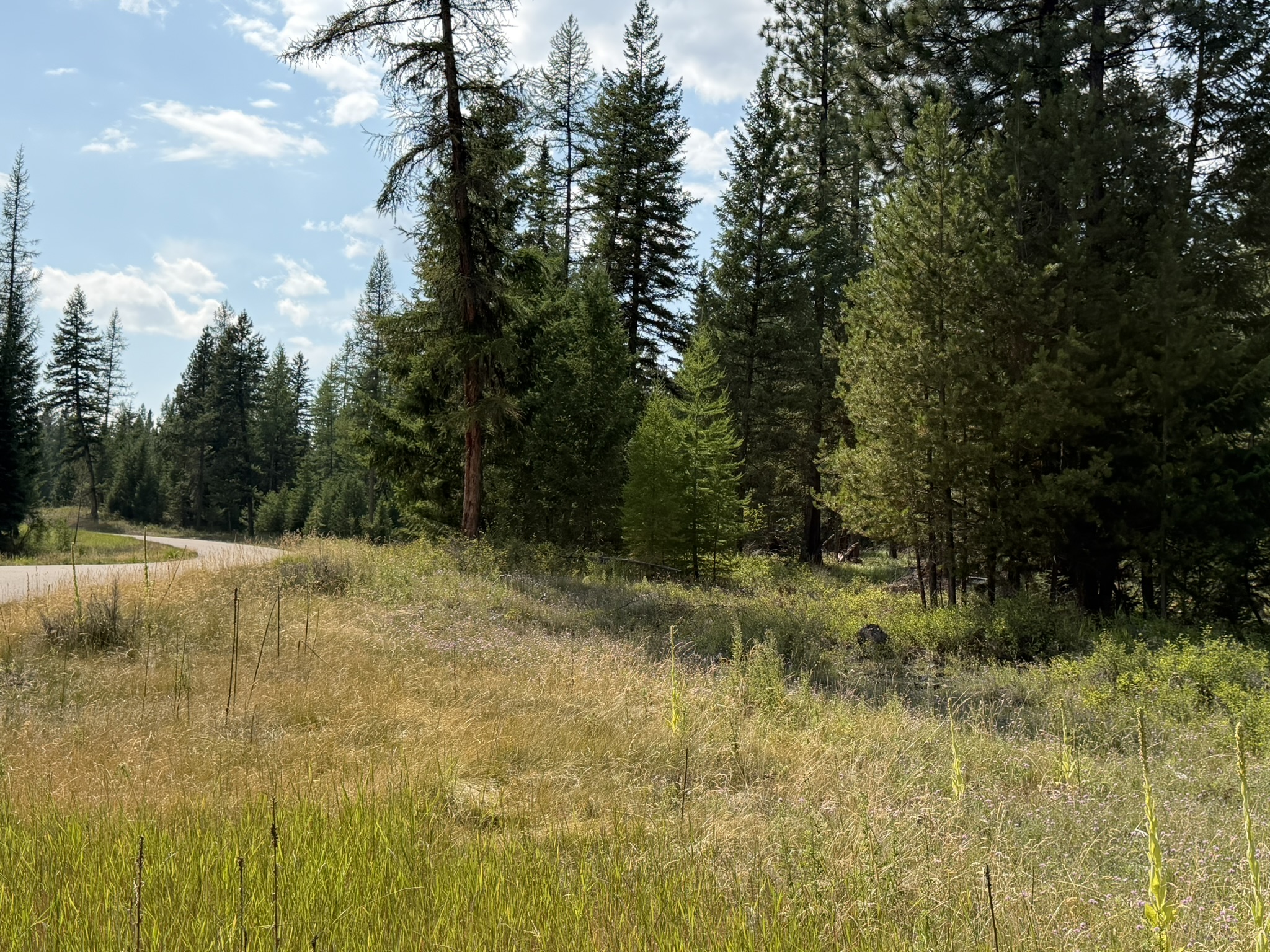 517 Haskill Ranch Road Property Photo 6