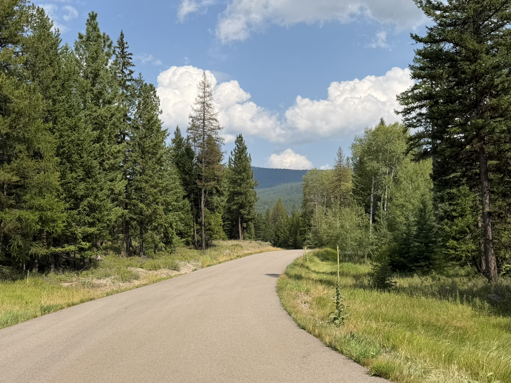517 Haskill Ranch Road Property Photo 7