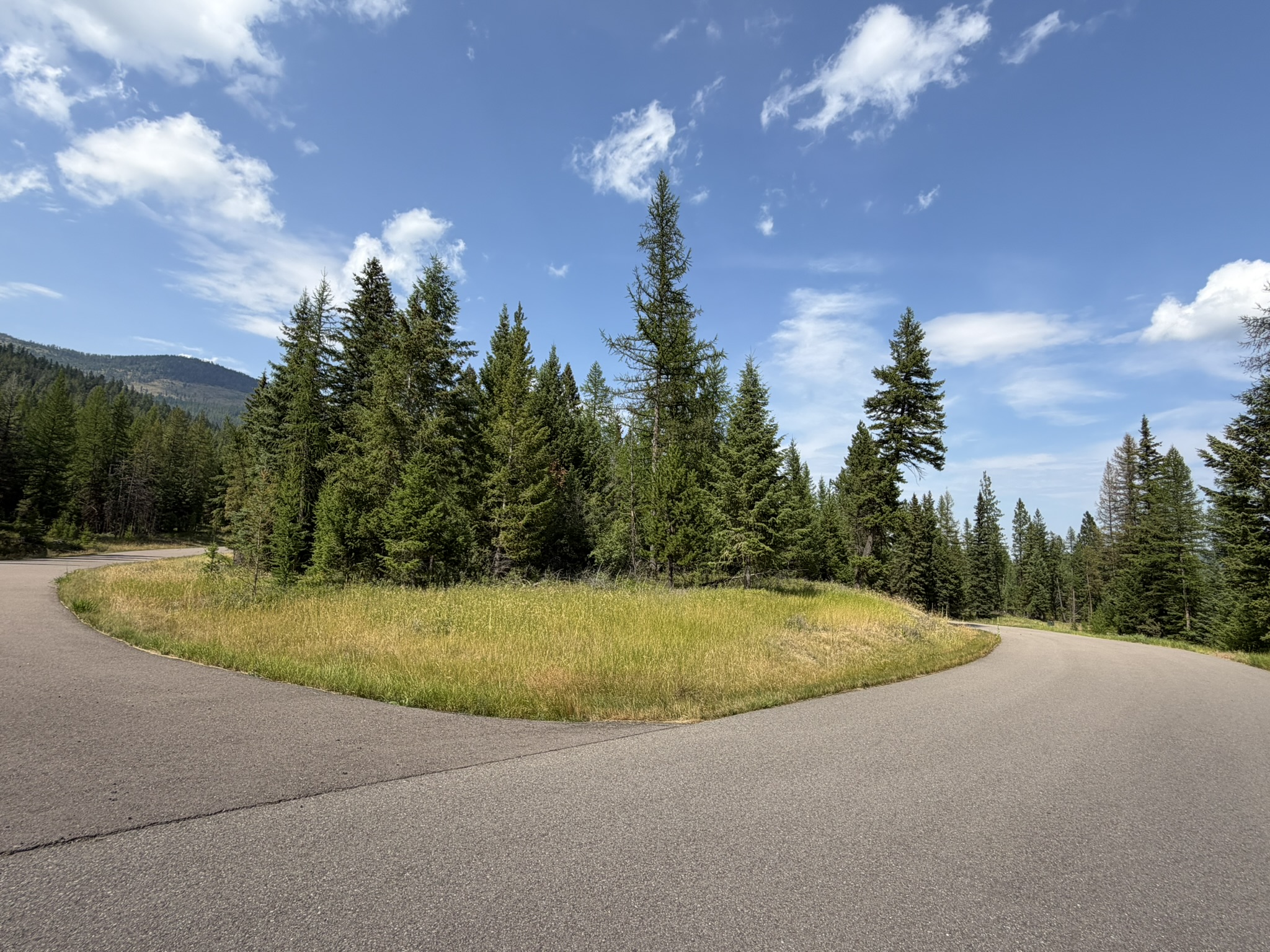 517 Haskill Ranch Road Property Photo 8
