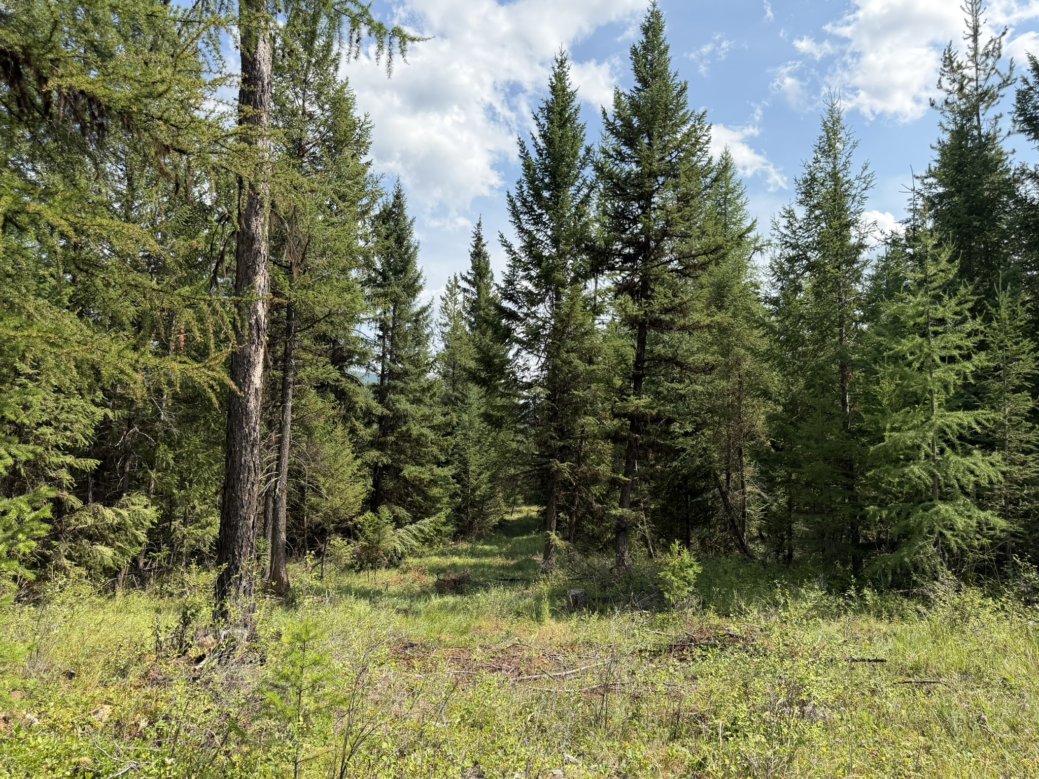 517 Haskill Ranch Road Property Photo 18