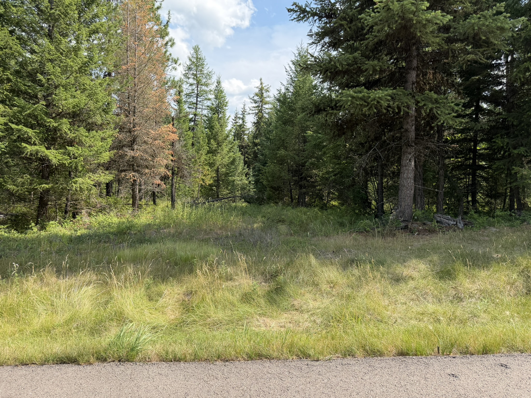 517 Haskill Ranch Road Property Photo 19