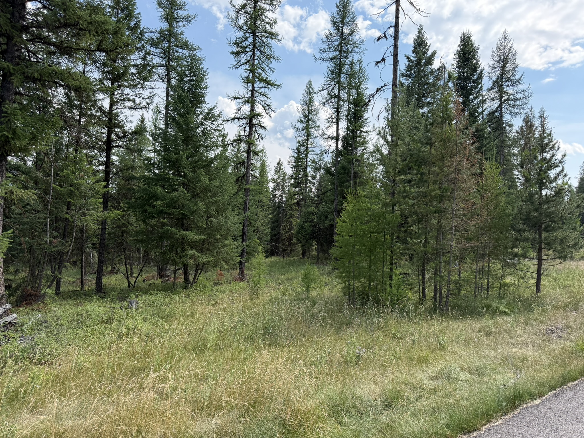 517 Haskill Ranch Road Property Photo 20