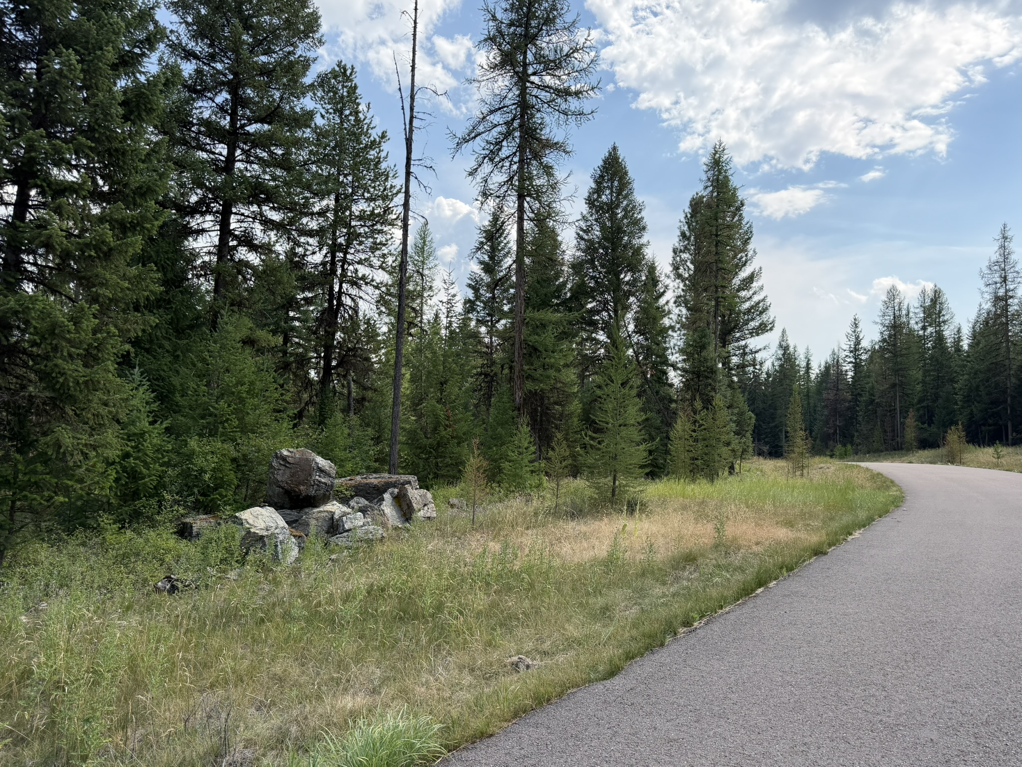 517 Haskill Ranch Road Property Photo 21