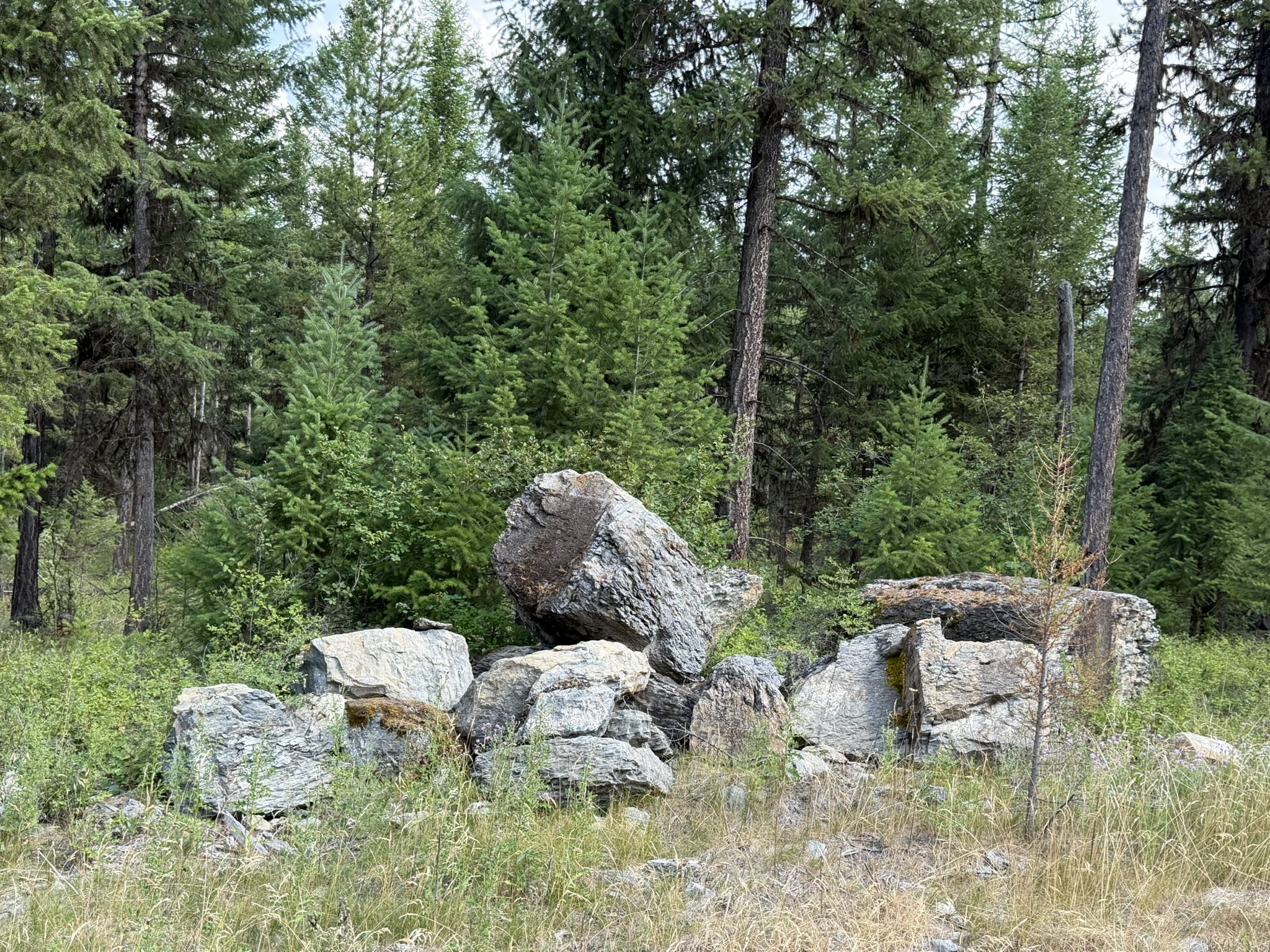 517 Haskill Ranch Road Property Photo 22