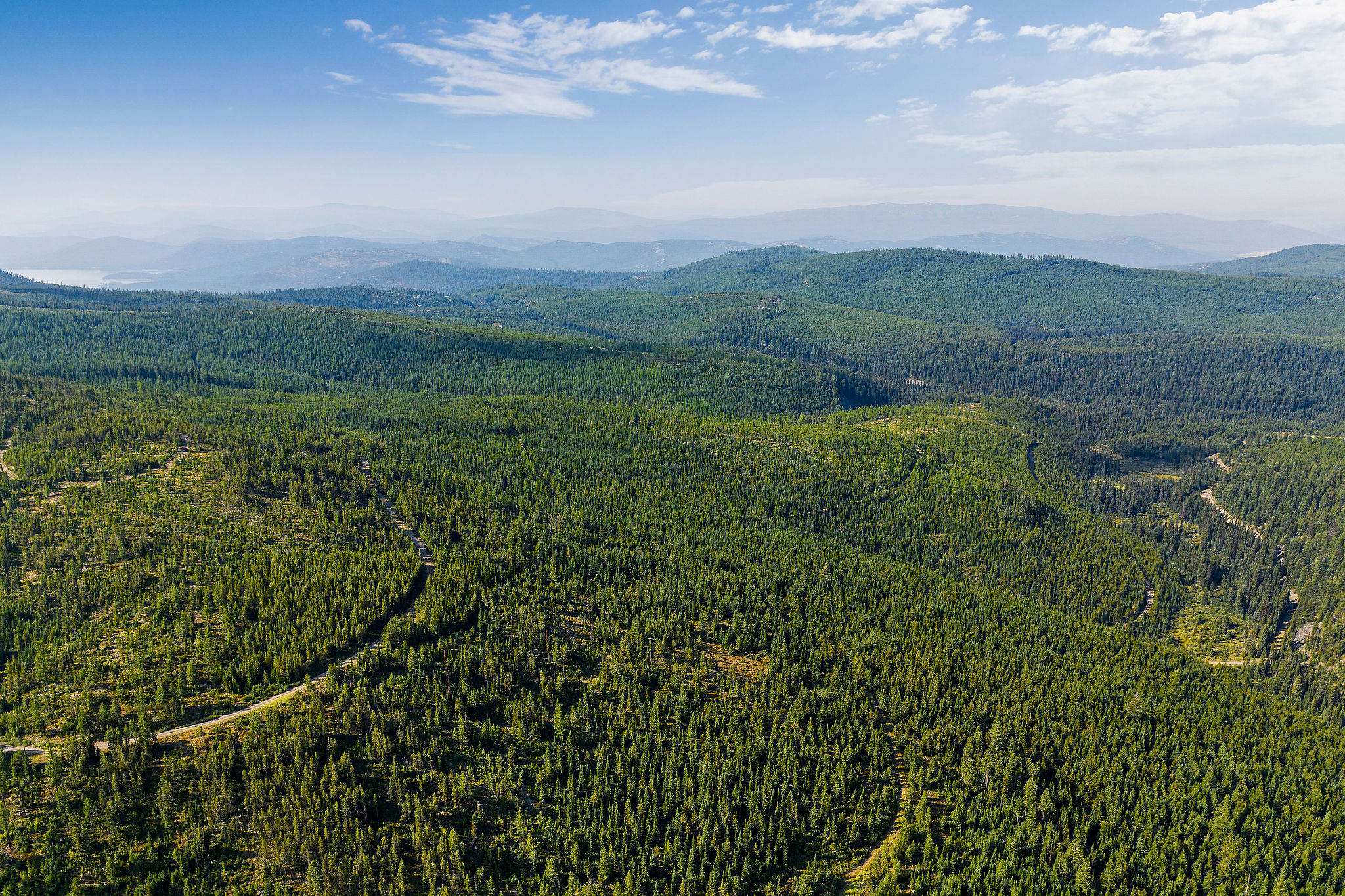 Nhn Griffin Creek Road Property Photo 1