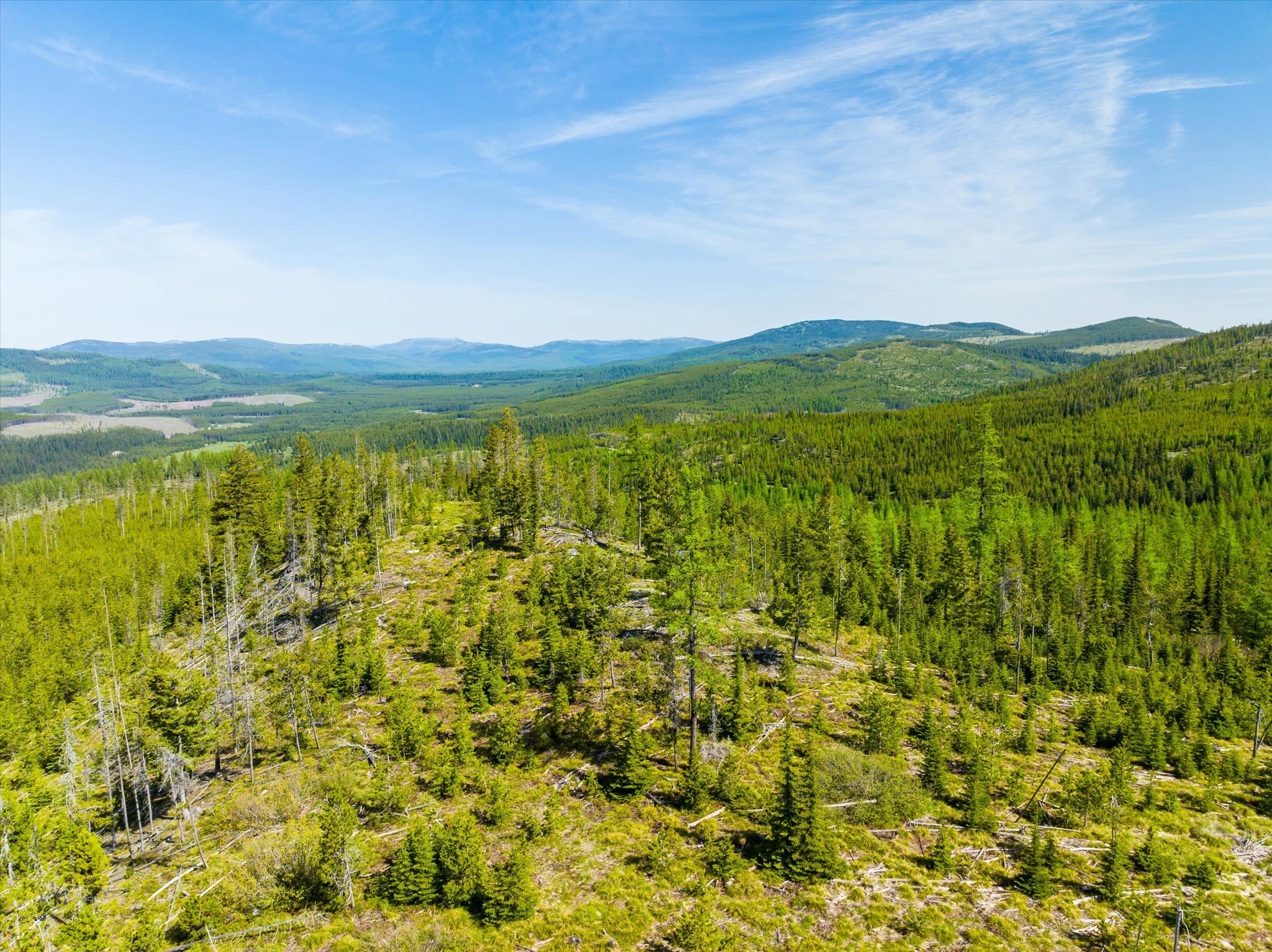 Nhn Griffin Creek Road Property Photo 10