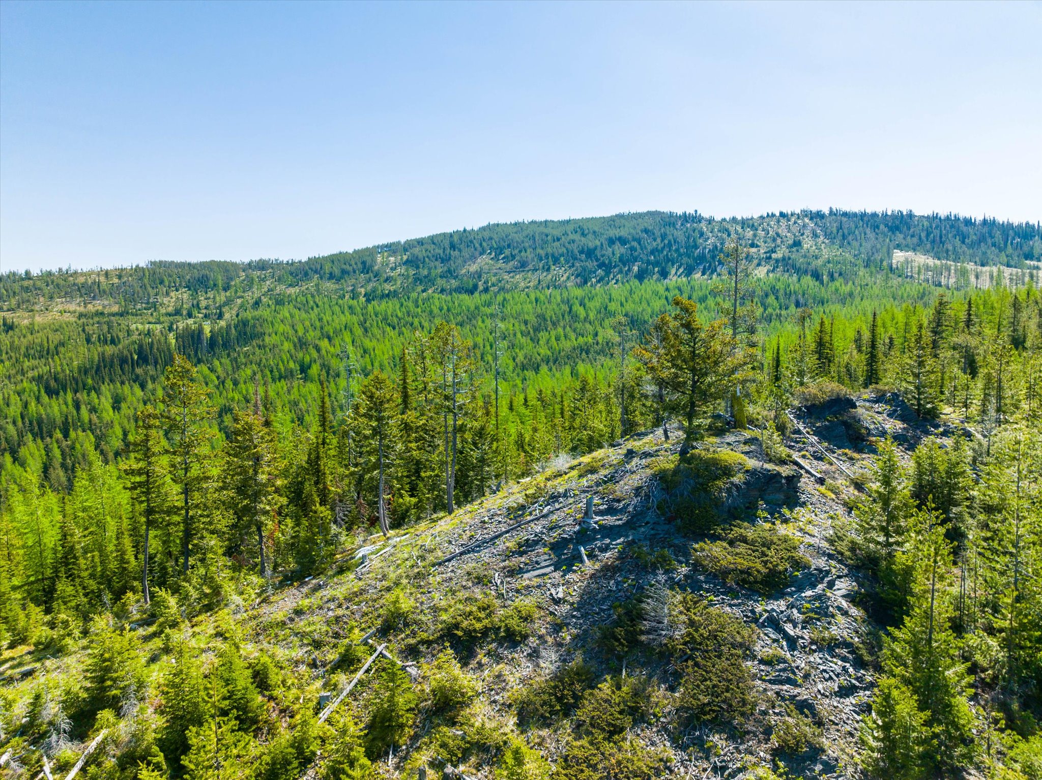 Nhn Griffin Creek Road Property Photo 14
