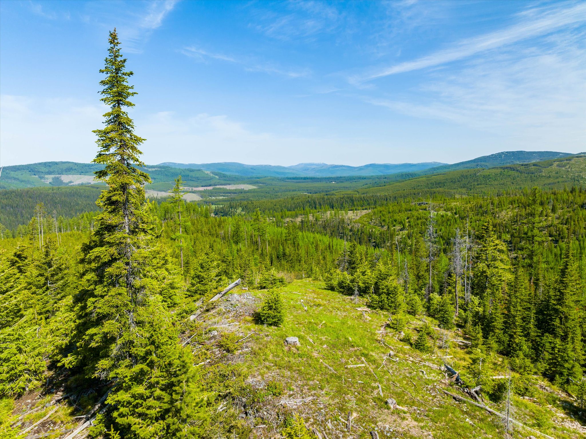 Nhn Griffin Creek Road Property Photo 16