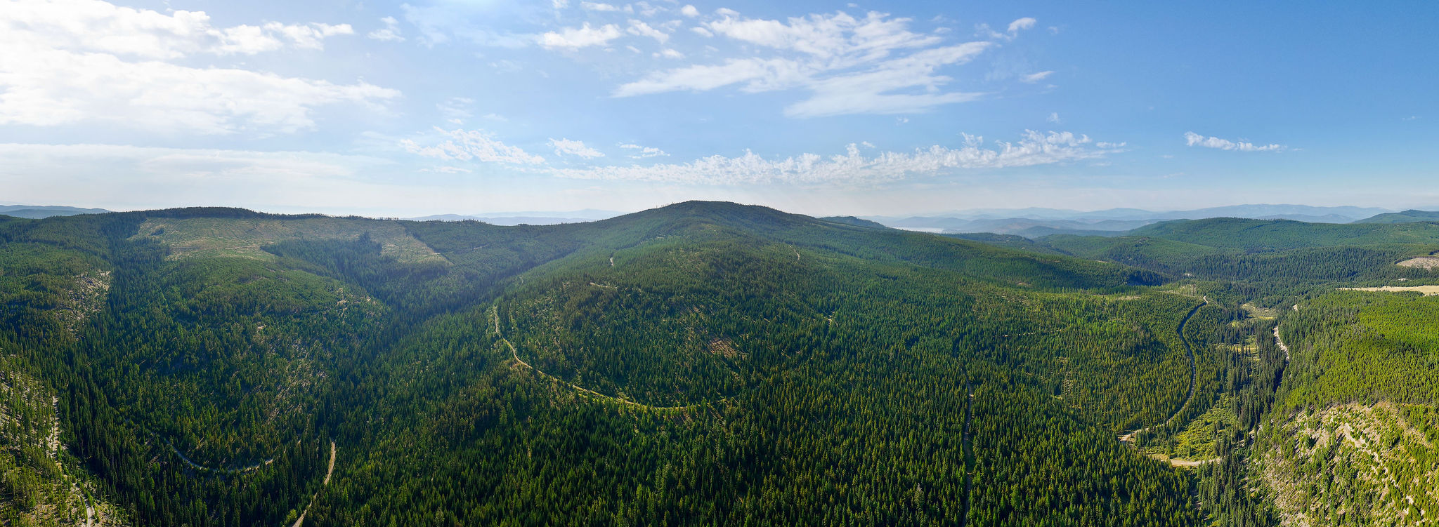 Nhn Griffin Creek Road Property Photo 26