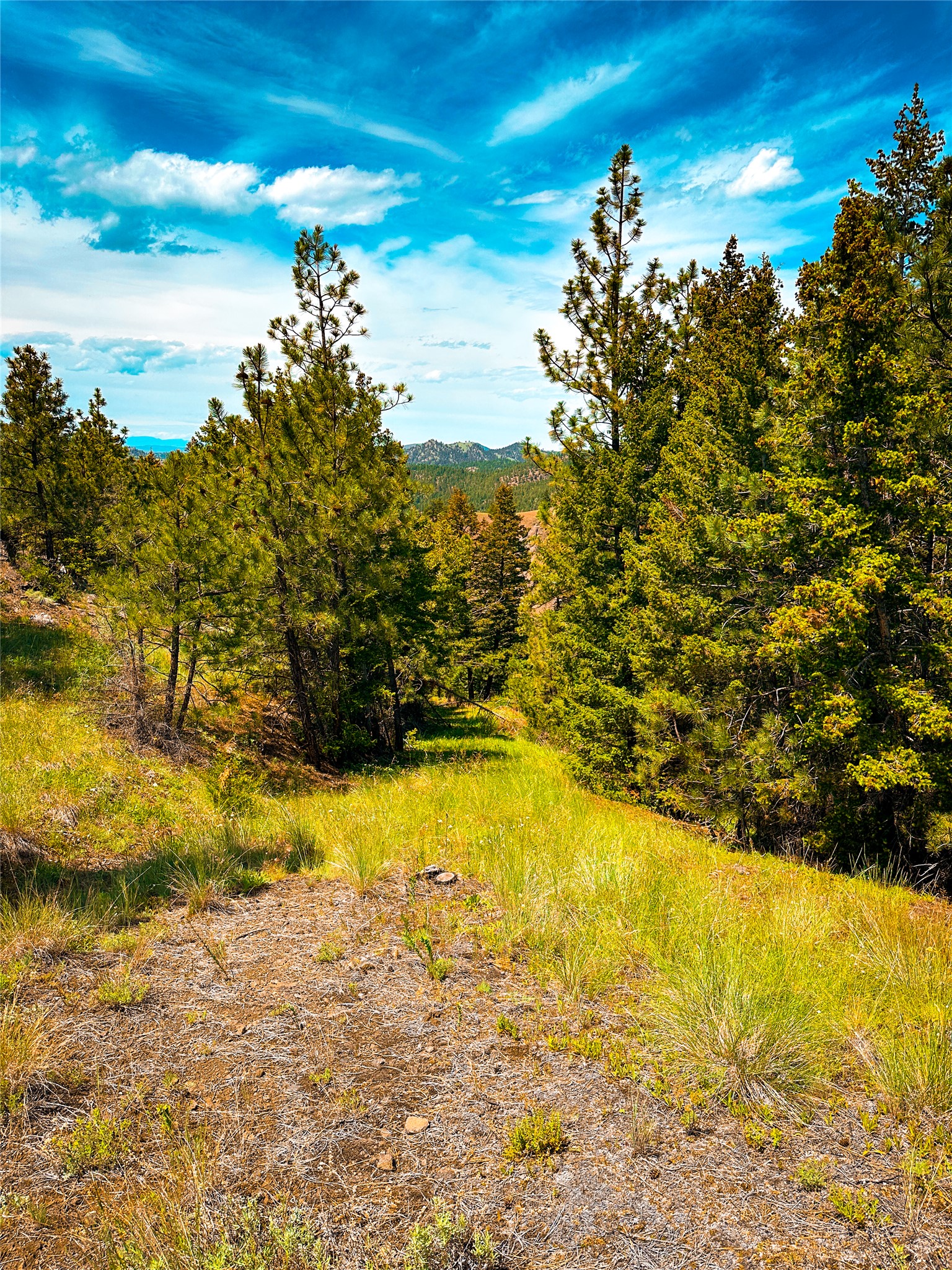 Tbd Sugarloaf Mountain Lane Property Photo 11
