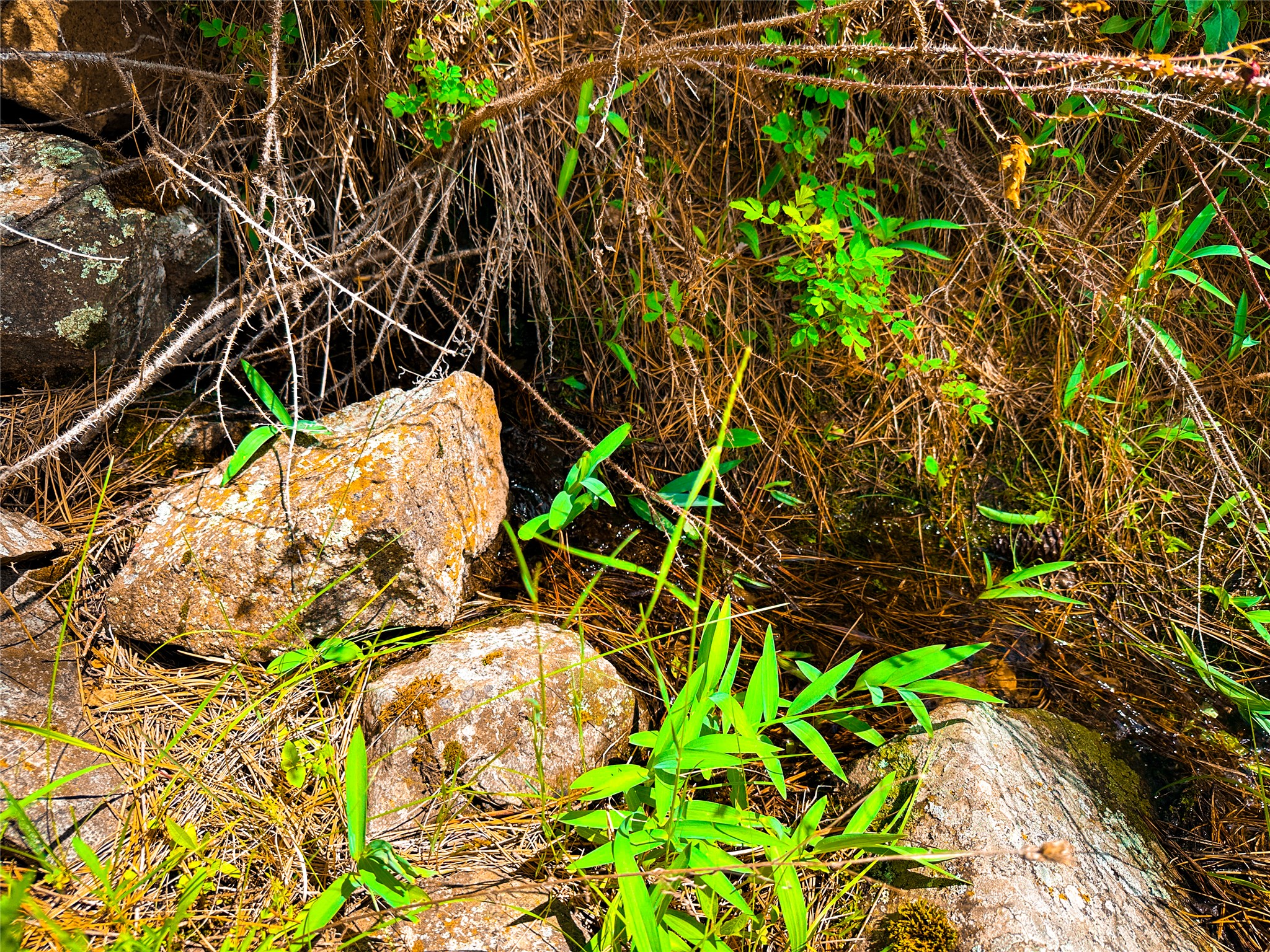 Tbd Sugarloaf Mountain Lane Property Photo 12