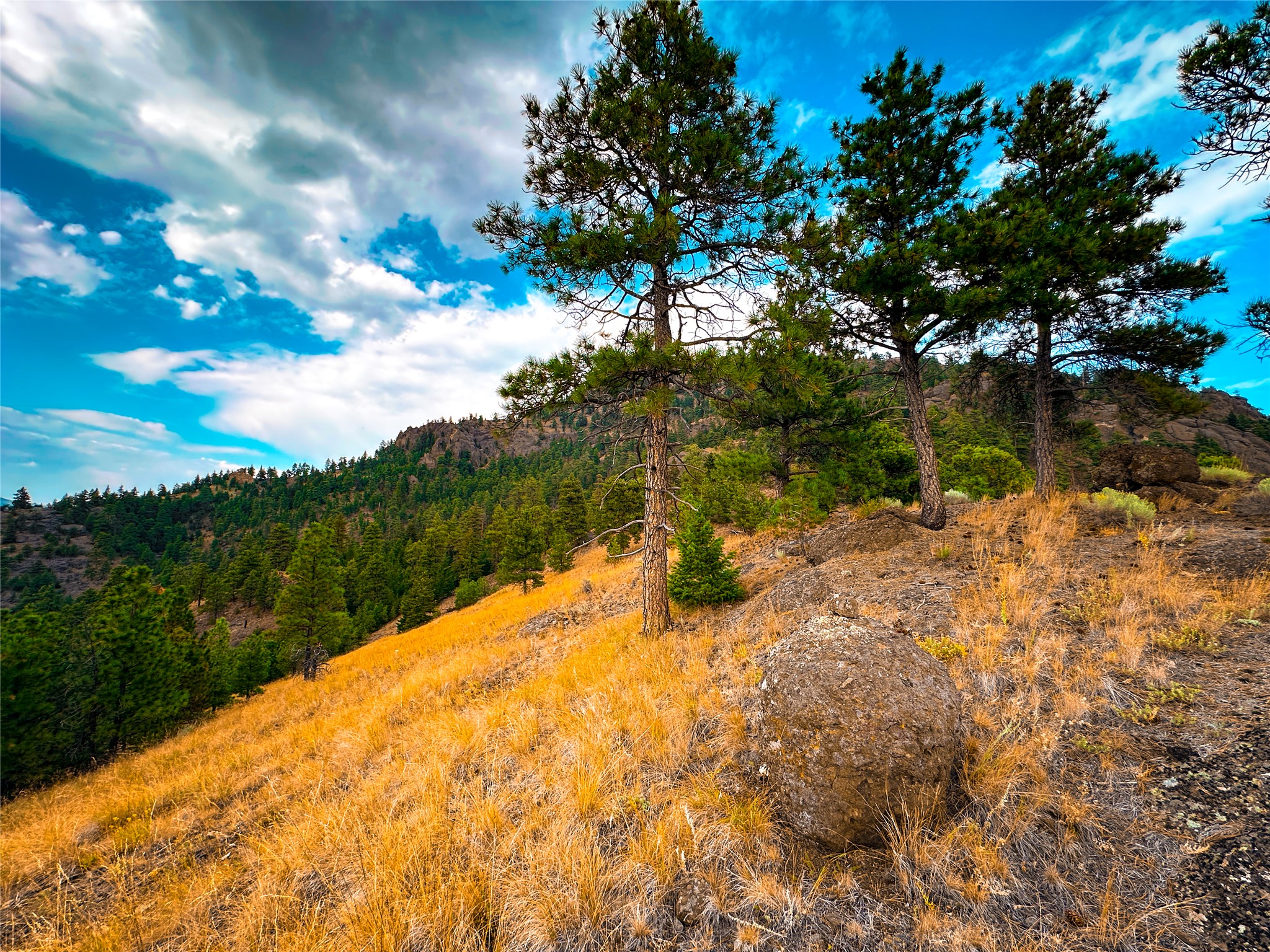 Tbd Sugarloaf Mountain Lane Property Photo 18