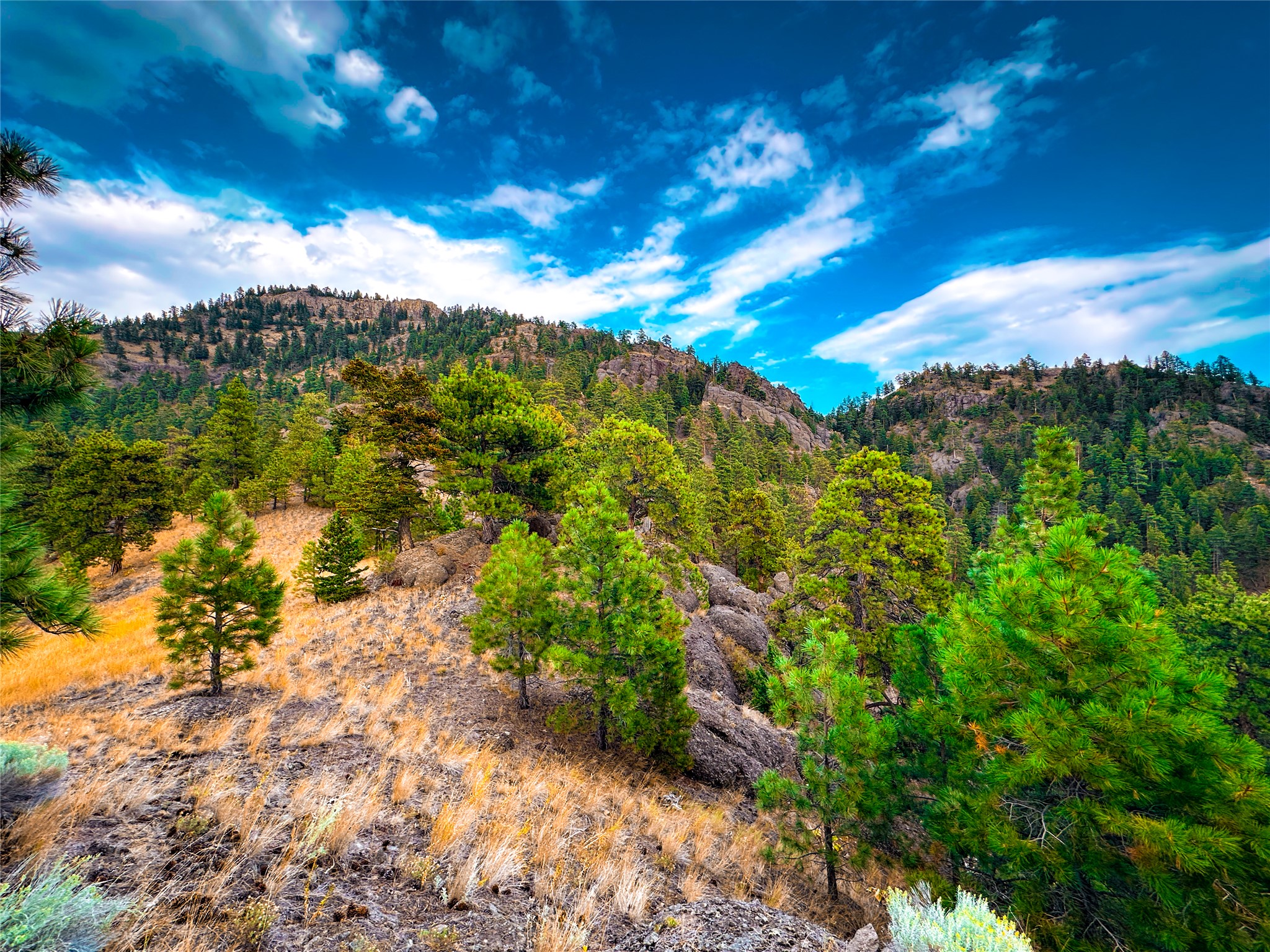 Tbd Sugarloaf Mountain Lane Property Photo 19