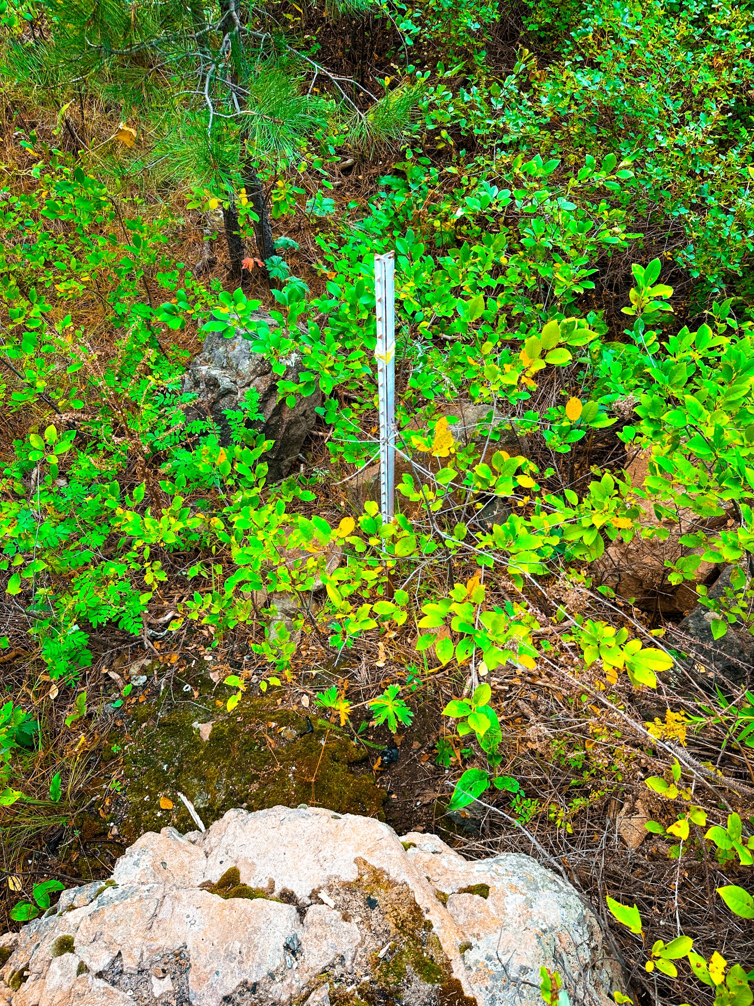 Tbd Sugarloaf Mountain Lane Property Photo 34