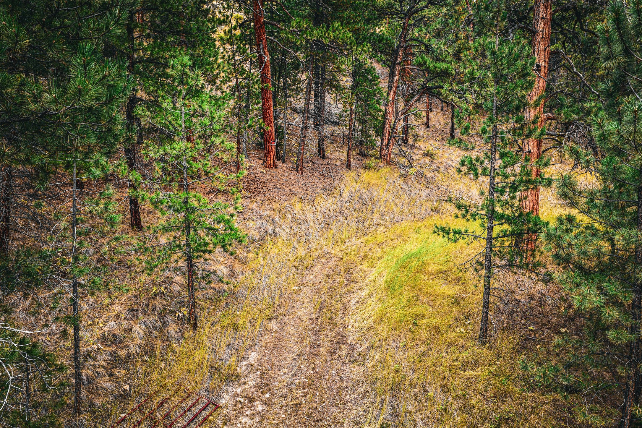 Tbd Sugarloaf Mountain Lane Property Photo 35