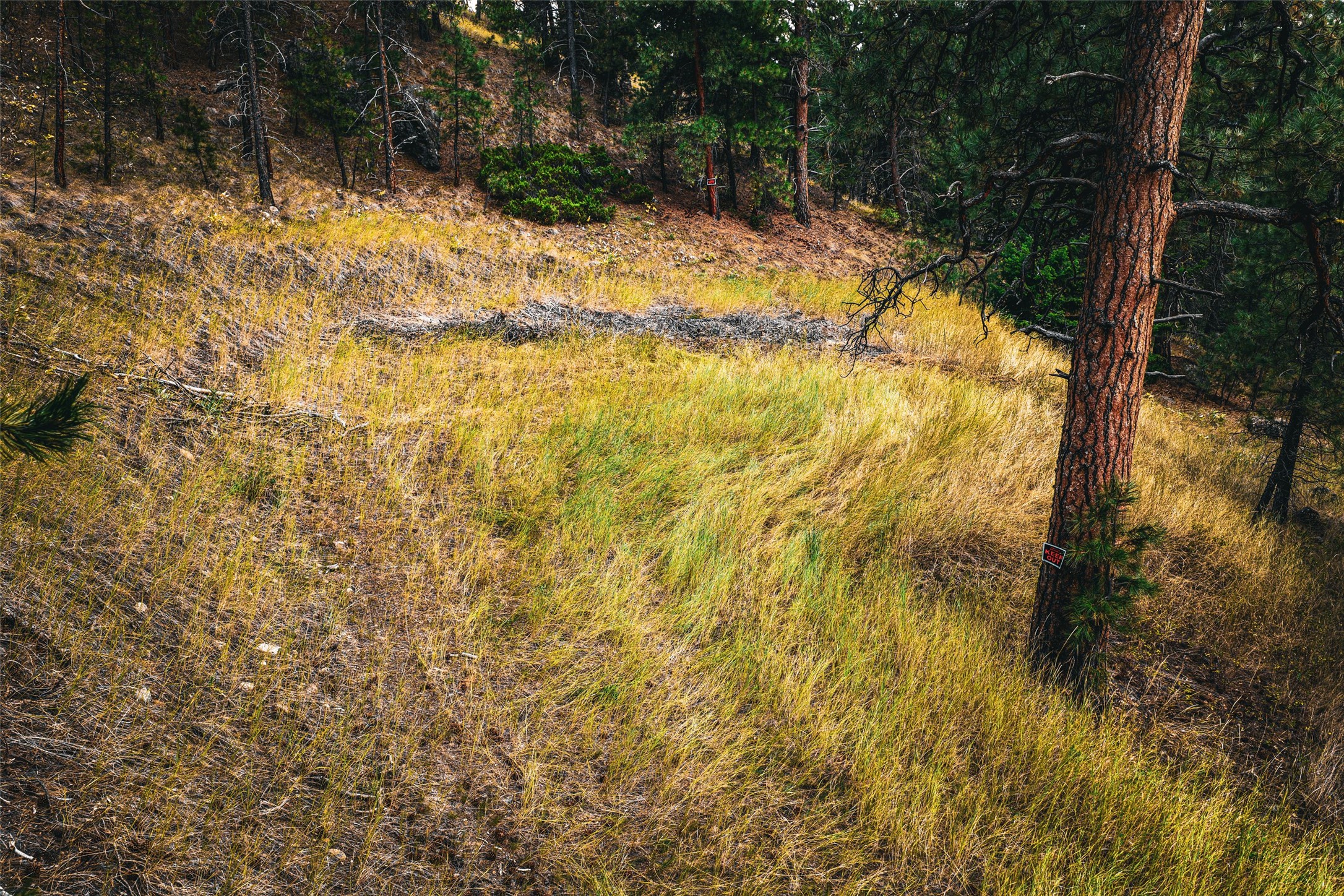 Tbd Sugarloaf Mountain Lane Property Photo 37